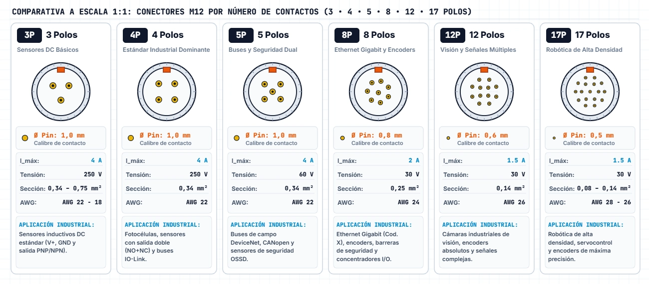 Conectores M12 de 3, 4, 5, 8, 12 y 17 contactos comparados a la misma escala